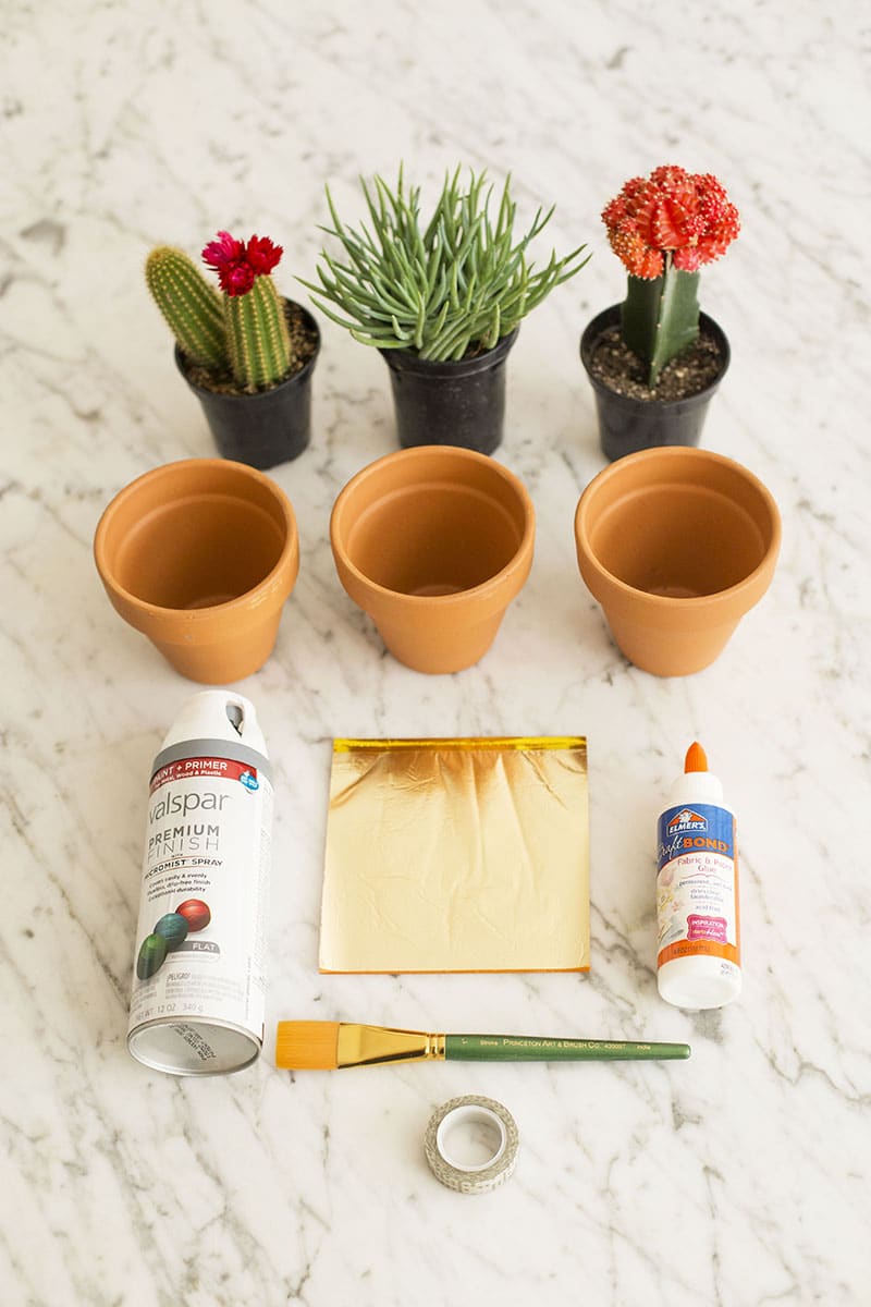 Louise Roe | Gold Leaf Succulent Pots | DIY and Lifestyle Tips | Front Roe blog 1